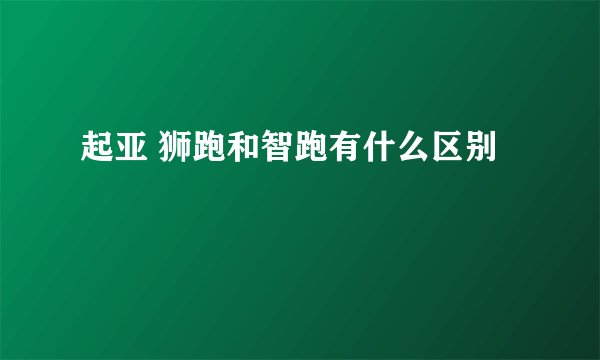 起亚 狮跑和智跑有什么区别