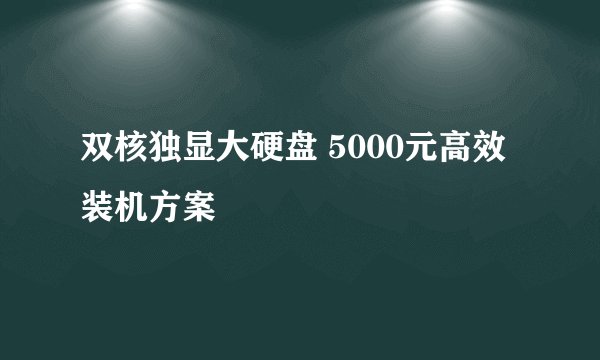双核独显大硬盘 5000元高效装机方案