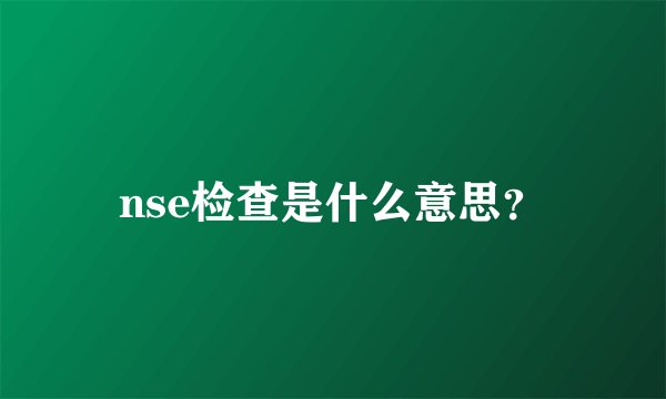 nse检查是什么意思？