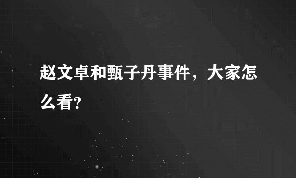 赵文卓和甄子丹事件，大家怎么看？