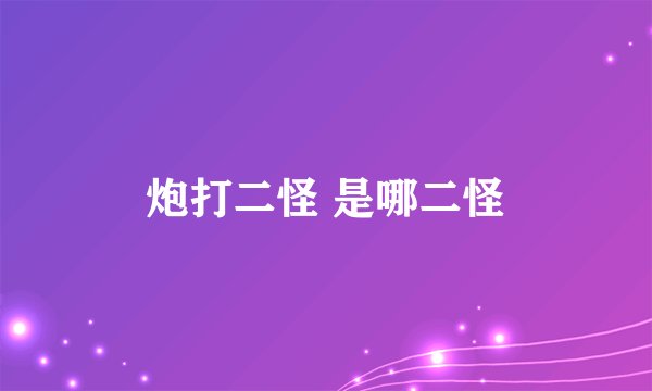炮打二怪 是哪二怪