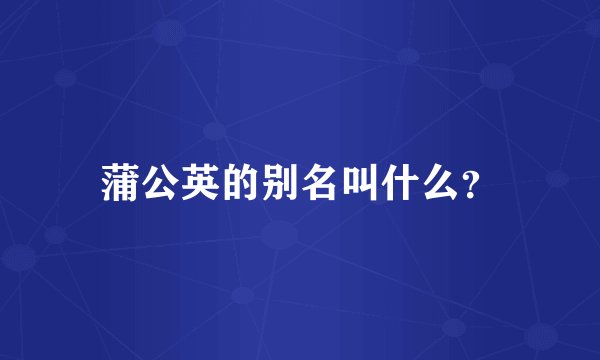 蒲公英的别名叫什么？