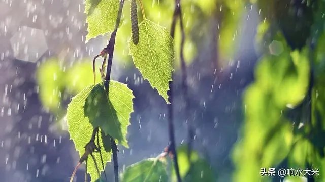雨水落雨三大碗 大河小河都要满 说的是哪个季节