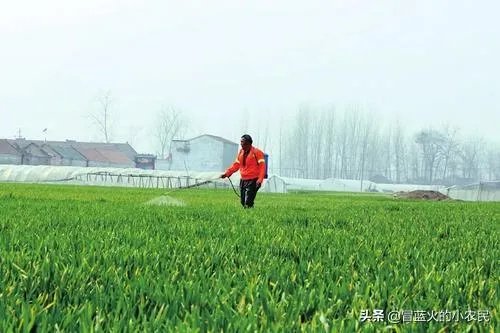雨水落雨三大碗 大河小河都要满 说的是哪个季节