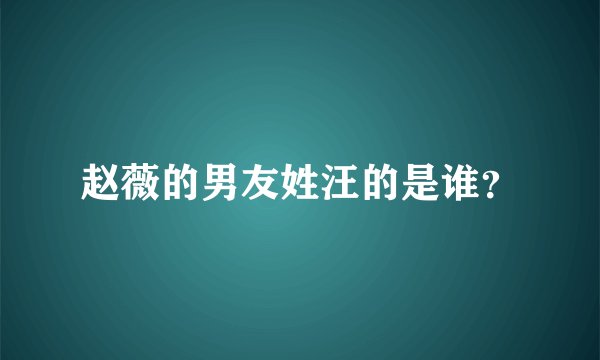 赵薇的男友姓汪的是谁？