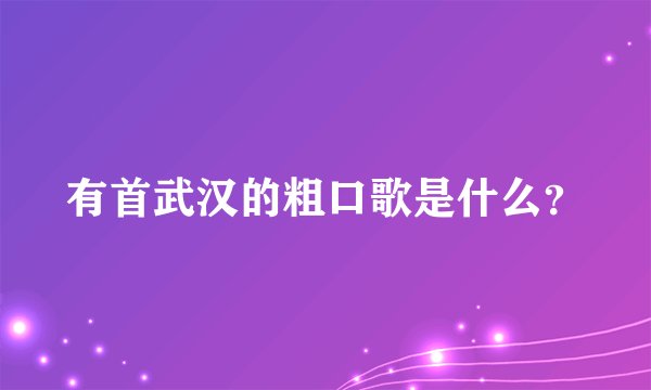 有首武汉的粗口歌是什么？