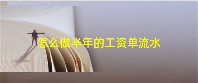 怎么做半年的工资单流水