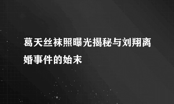 葛天丝袜照曝光揭秘与刘翔离婚事件的始末