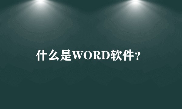 什么是WORD软件？