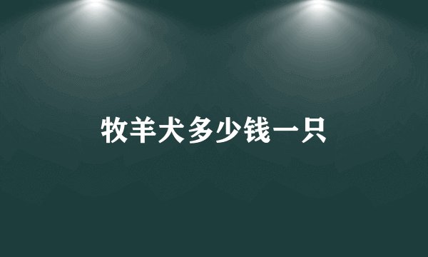 牧羊犬多少钱一只