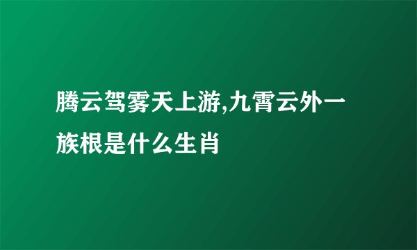 腾云驾雾天上游,九霄云外一族根是什么生肖