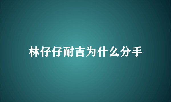 林仔仔耐吉为什么分手