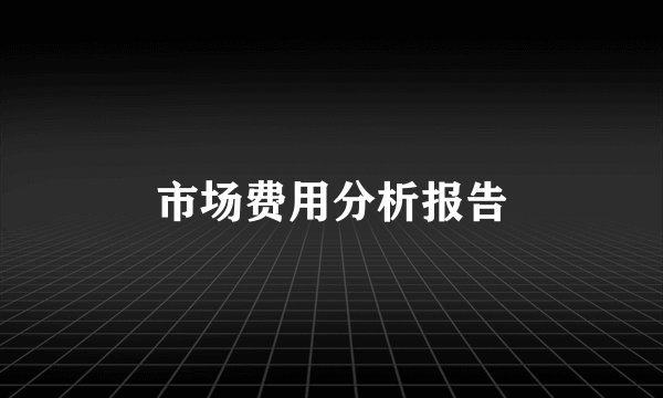 市场费用分析报告