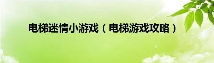 电梯迷情小游戏(电梯游戏攻略)