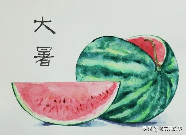 农村老话“大暑凉飕飕,立冬笑死牛”是啥意思?有道理吗?