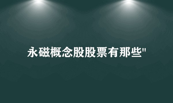 永磁概念股股票有那些