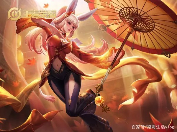 王者荣耀里面除了公孙离还有哪些英雄可以和大乔打配合?