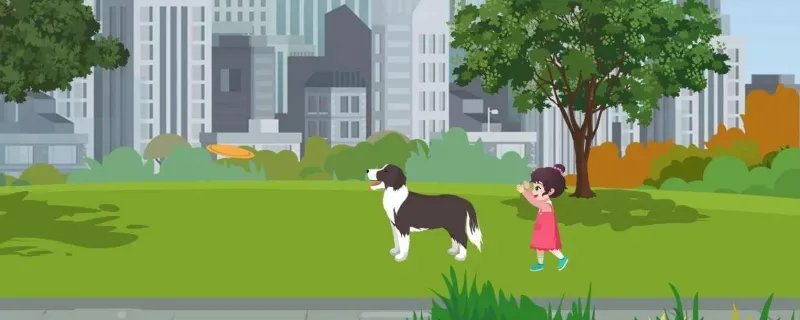 边境牧羊犬性格特点 边境牧羊犬是哪个国家的犬