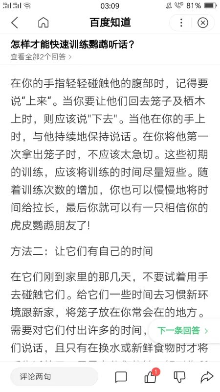 如何训练出一只听话的宠物鸽子?