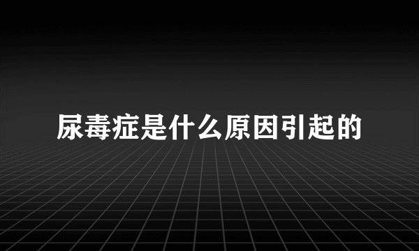 尿毒症是什么原因引起的