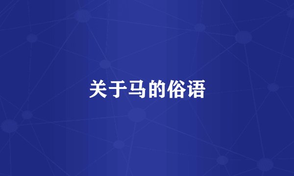 关于马的俗语