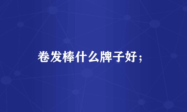 卷发棒什么牌子好；