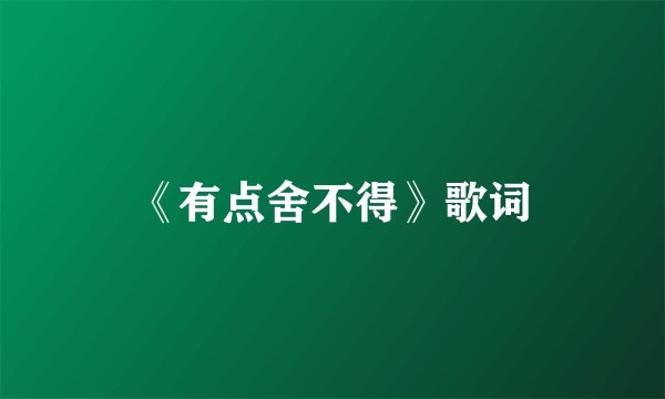 《有点舍不得》歌词