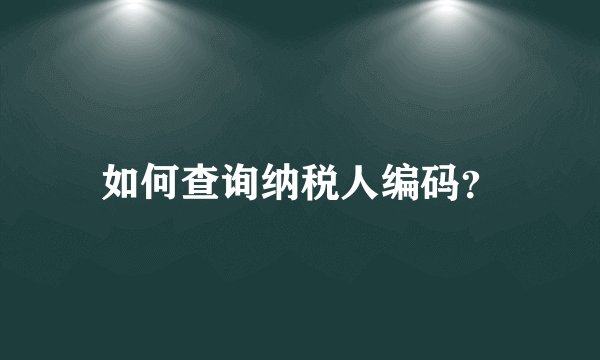 如何查询纳税人编码？