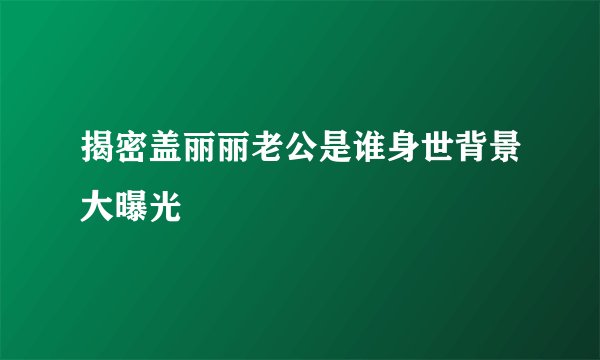 揭密盖丽丽老公是谁身世背景大曝光