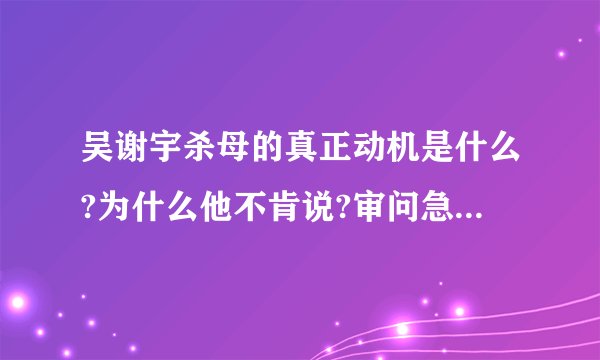 吴谢宇杀母的真正动机是什么?为什么他不肯说?审问急了才说了一些不是理由的理