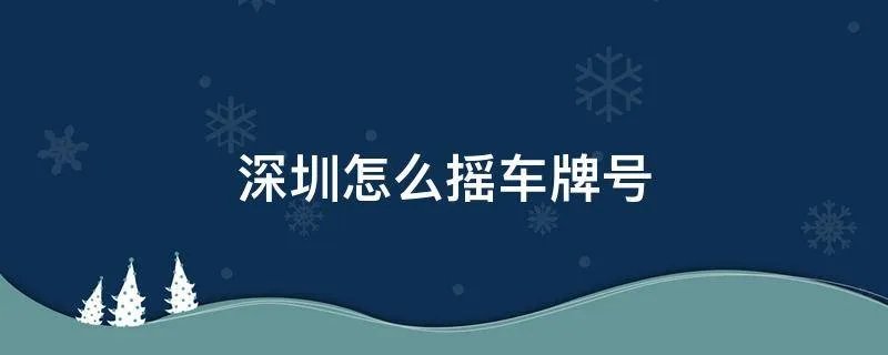 深圳怎么摇车牌号