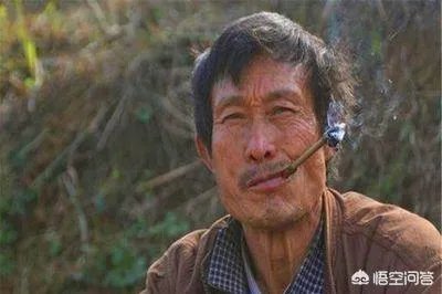 农村老话“大暑凉飕飕,立冬笑死牛”是啥意思?有道理吗?