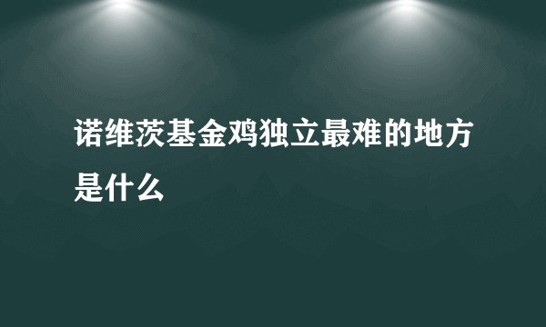 诺维茨基金鸡独立最难的地方是什么