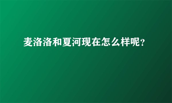 麦洛洛和夏河现在怎么样呢？