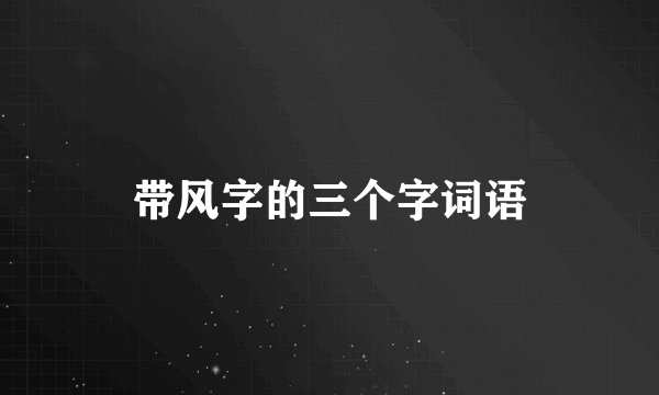 带风字的三个字词语