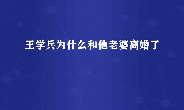 王学兵为什么和他老婆离婚了