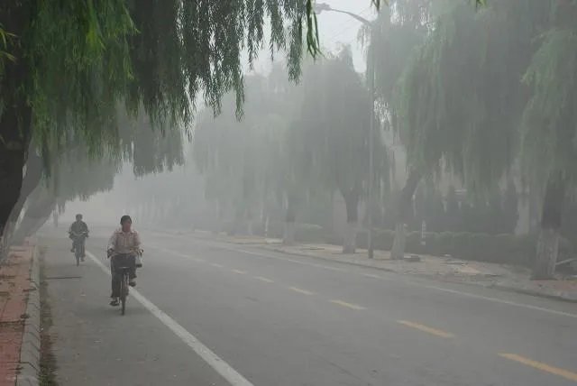 2021年,三伏天什么时候开始?几月份入伏?