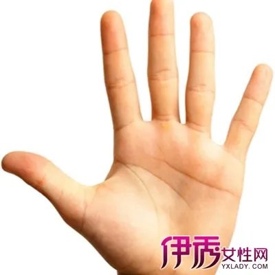 男人左手掌纹图解展示