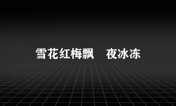 雪花红梅飘　夜冰冻