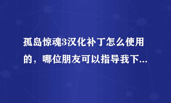 孤岛惊魂3汉化补丁怎么使用的，哪位朋友可以指导我下，有安装包也顺便给我一个，好人一生平安