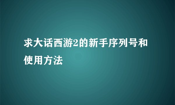 求大话西游2的新手序列号和使用方法