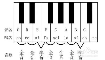 bbox基础教学