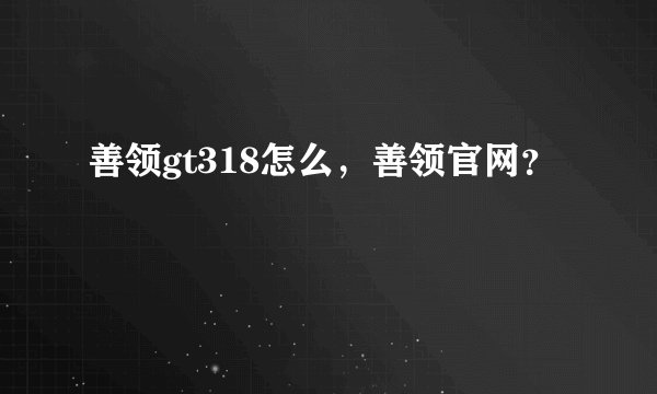 善领gt318怎么，善领官网？