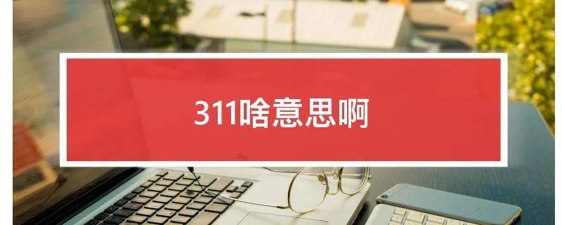 311啥意思啊