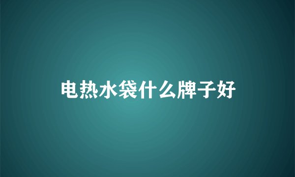 电热水袋什么牌子好