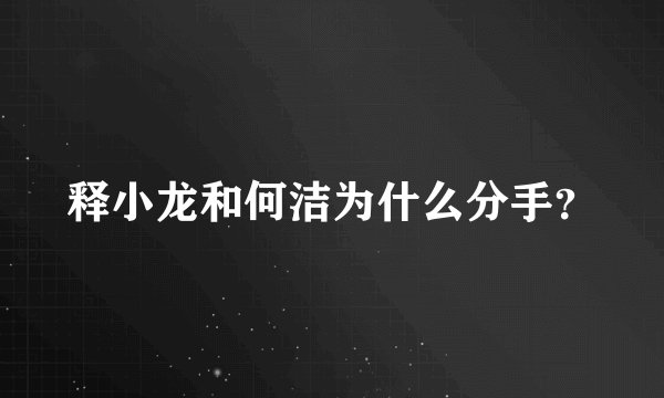 释小龙和何洁为什么分手？