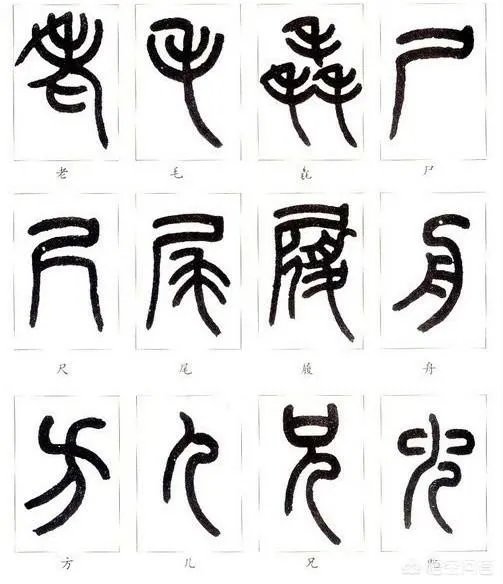 图片上的字是什么字?