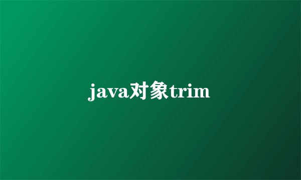 java对象trim
