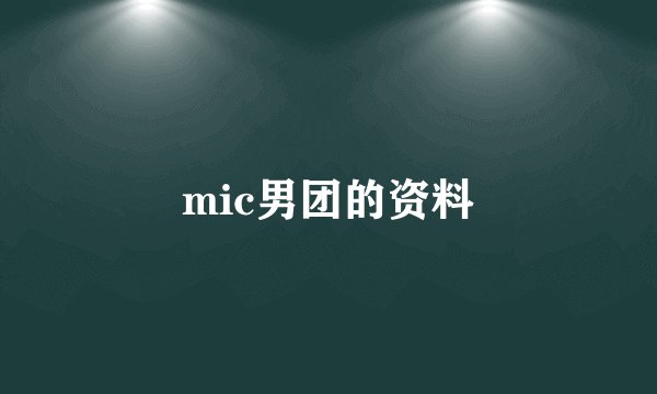 mic男团的资料