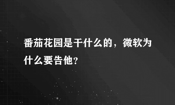 番茄花园是干什么的，微软为什么要告他？